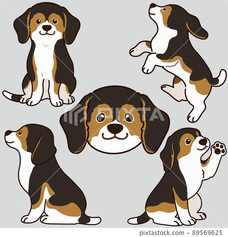 簡單可愛的深色三色比格犬插畫套裝,帶主線 簡單可愛的深色三色比格犬插畫套裝,帶主線 89569625