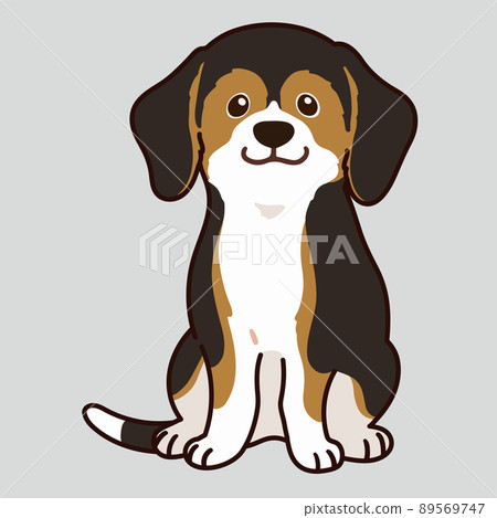 坐在主線上的深色三色小獵犬的插圖 坐在主線上的深色三色小獵犬的插圖 89569747