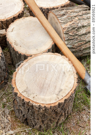 Chopping firewood 89569821