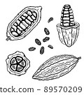 Cocoa collection. Graphic cocoa pods with beans isolated on white. Illustration 89570209