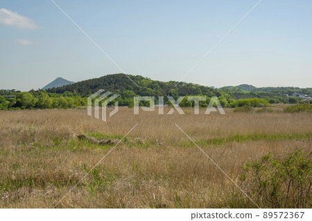 始興市潮灘生態公園 始興市潮灘生態公園 89572367