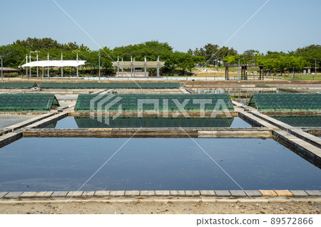 Siheung Tidal Flat Ecological Park 89572866