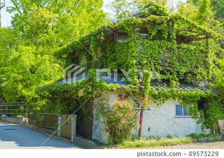 A hiking trail from Myokenguchi Station to Mt. Myoken, a house overgrown with ivy, Hanaori Kaido A hiking trail from Myokenguchi Station to Mt. Myoken, a house overgrown with ivy, Hanaori Kaido 89573229