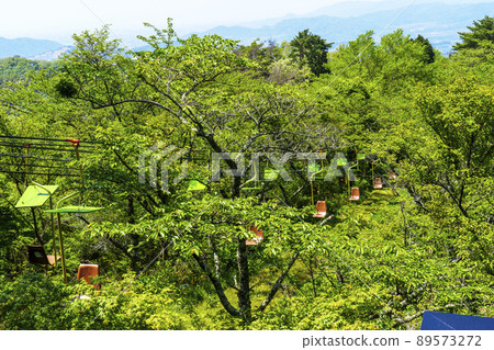 Osaka Myoken no Mori Lift (early summer 2022, fresh green season) 89573272