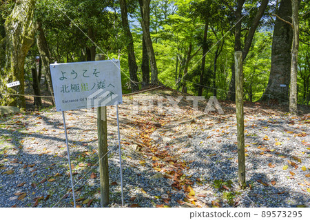 鼻子妙見山北極星森林 89573295