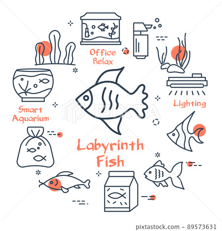 Linear style of aquarium fish and supplies 89573631
