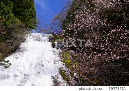 Yudaki in early spring 89573781