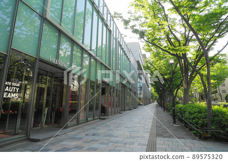 May Shibuya 1035 新鮮的綠色櫸樹和表參道 89575320