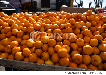 Tangerines in the market. The farmer sells citrus products. Tangerines in the market. The farmer sells citrus products. 89575468