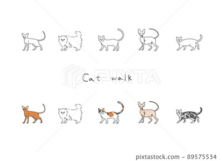 各種貓的插圖 各種貓的插圖 89575534