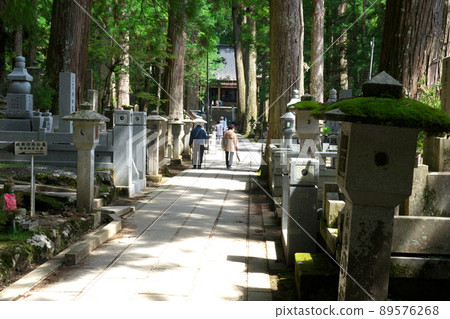 [World Heritage Kii Mountain Range Sacred Sites and Pilgrimage Routes] Early summer scenery of the temple of the Okunoin Temple in Koyasan 1 Koya-cho, Ito-gun, Wakayama Prefecture 89576268
