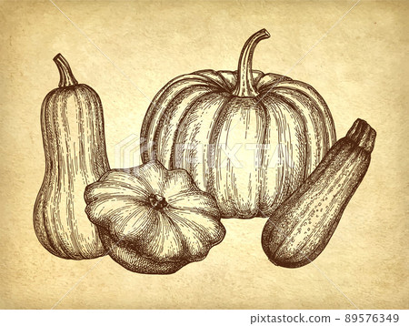 Squash and pumpkin set. 89576349
