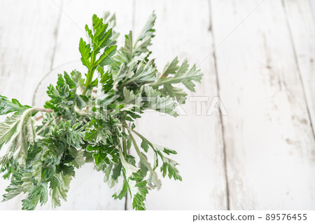 艾草的嫩葉 89576455