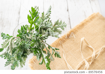 Wormwood's young leaves Wormwood's young leaves 89576456