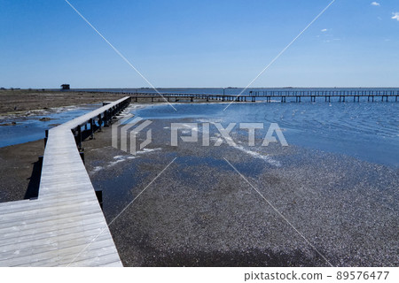 Todowara Promenade on Notsuke Peninsula, Hokkaido 89576477