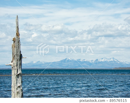 Todwara of Notsuke Peninsula, Hokkaido 89576515