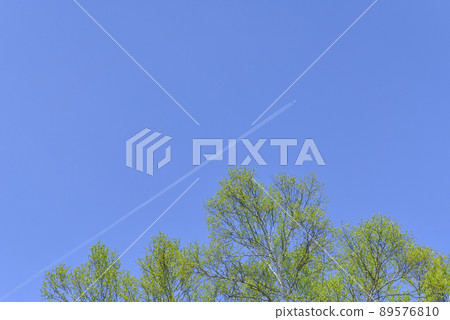 A contrail in the blue sky 89576810