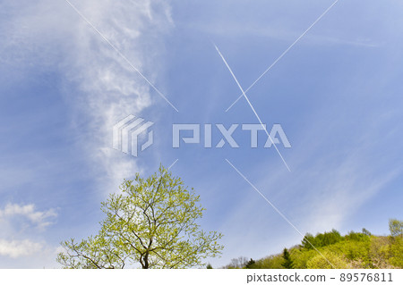 Fresh green plateau and blue sky 89576811