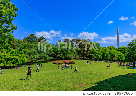 東京練馬區光丘公園草坪廣場 89577660