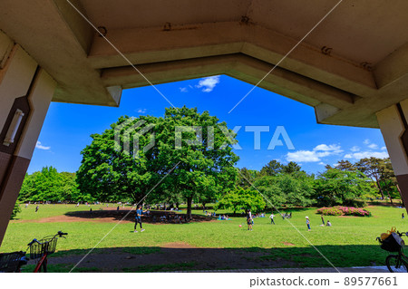 東京練馬區光丘公園草坪廣場 東京練馬區光丘公園草坪廣場 89577661