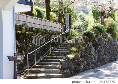箱根鎮將軍寺山門和箱根舊東海道路標 箱根鎮將軍寺山門和箱根舊東海道路標 89578170