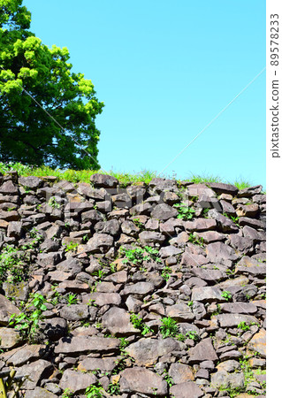 Ishigakiyama Castle Continued 100 Fine Castles in Japan 89578233