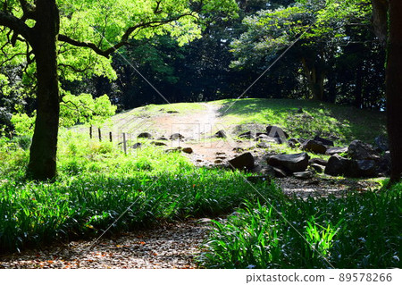Ishigakiyama Castle Continued 100 Fine Castles in Japan 89578266
