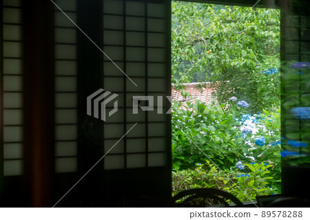 京都府宇治田原町湯屋谷空拉比羅拍攝了被譽為日本綠茶始祖的長谷宗園出生地的繡球花。 89578288