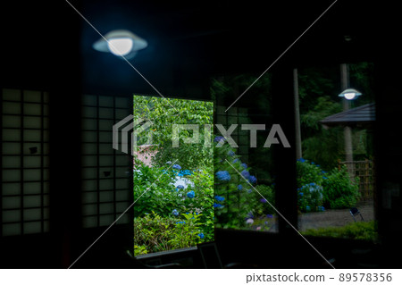 京都府宇治田原町湯屋谷空拉比羅拍攝了被譽為日本綠茶始祖的長谷宗園出生地的繡球花。 89578356