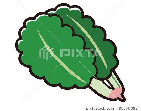 菠菜插圖 菠菜插圖 89579088