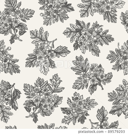Seamless floral pattern. Hawthorn. 89579203