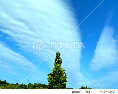 晴朗的天空和雲彩 晴朗的天空和雲彩 89579309