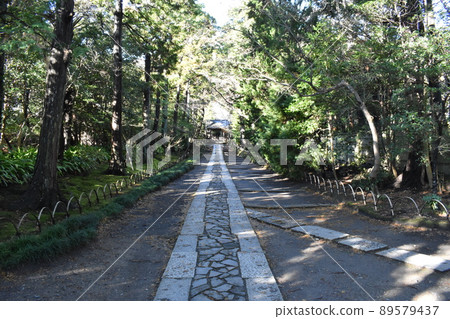 Jufukuji Temple, Ogigayatsu, Kamakura City 89579437