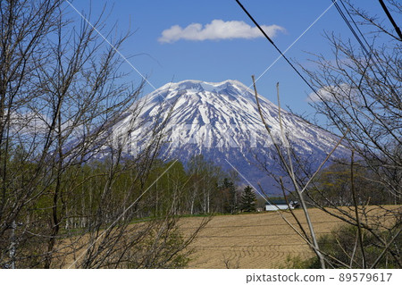 從新雪谷町福井附近看到的羊蹄山 89579617