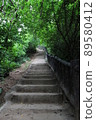 Mysterious forest stairs 89580412