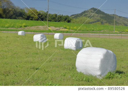 Pasture field with wrap pasture rolls Pasture field with wrap pasture rolls 89580526