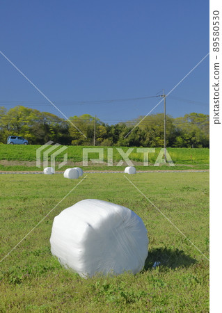 Pasture field with wrap pasture rolls Pasture field with wrap pasture rolls 89580530