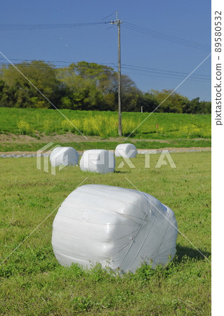 Pasture field with wrap pasture rolls Pasture field with wrap pasture rolls 89580532