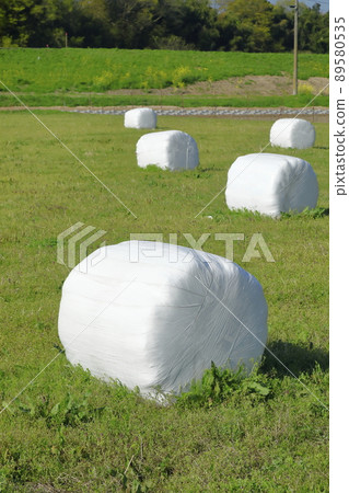 Pasture field with wrap pasture rolls 89580535