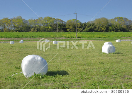 Pasture field with wrap pasture rolls 89580536