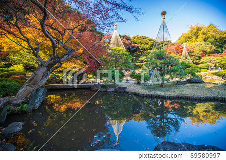 Autumn leaves in the former Furukawa Garden in Tokyo 89580997