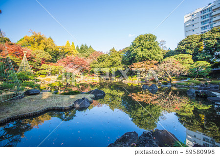 Autumn leaves in the former Furukawa Garden in Tokyo Autumn leaves in the former Furukawa Garden in Tokyo 89580998