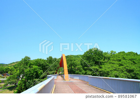 Scenery of Kuragaike Park Rainbow Bridge in Toyota City Scenery of Kuragaike Park Rainbow Bridge in Toyota City 89581067