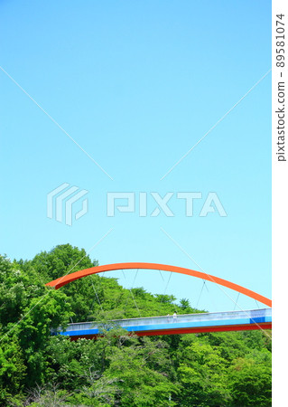 豐田市倉池公園彩虹橋風景 豐田市倉池公園彩虹橋風景 89581074