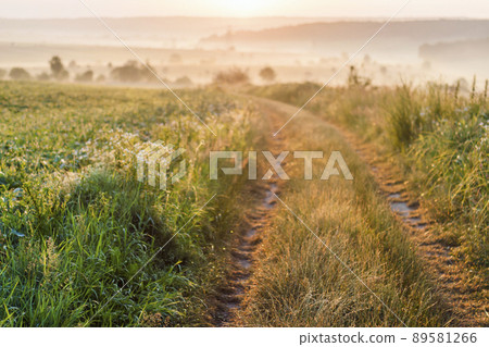 Gravel countryside road on sunrise with soft light effect. Sunny warm summer landscape. 89581266