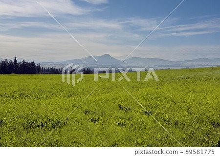 圣西島牧場 89581775