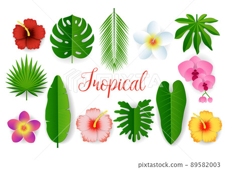 Vector paper cut tropical plant leaves and flowers 89582003