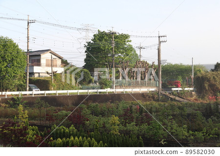 埼玉縣川口市關根地區的苗圃內 埼玉縣川口市關根地區的苗圃內 89582030