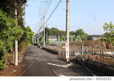 埼玉縣川口市關根地區的苗圃內 89582033