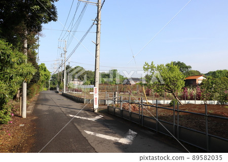 埼玉縣川口市關根地區的苗圃內 埼玉縣川口市關根地區的苗圃內 89582035